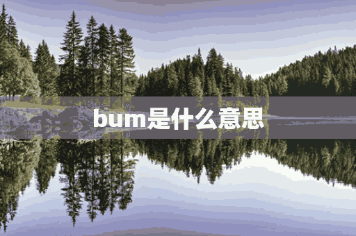 bum是什么意思(bum是什么意思英语)